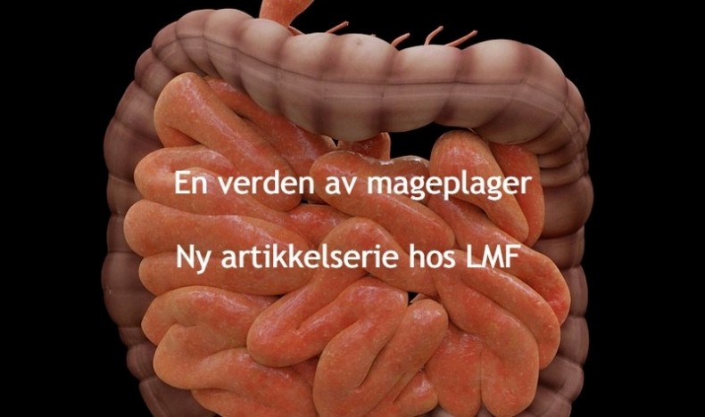 Introduksjon: En verden av mageplager Introduksjon: En verden av mageplager