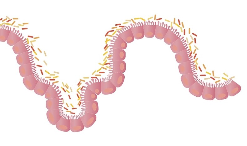 Nytt om 5-ASA preparater ved ulcerøs kolitt Nytt om 5-ASA preparater ved ulcerøs kolitt