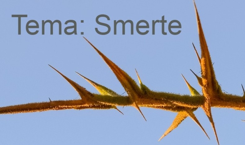 Mine mageplager kan ikke sammenlignes med å slå tåa i en stol! Mine mageplager kan ikke sammenlignes med å slå tåa i en stol!