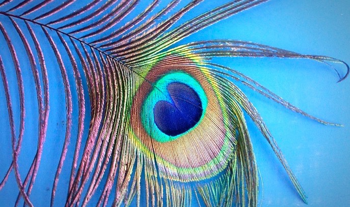 High as a Kite High as a Kite